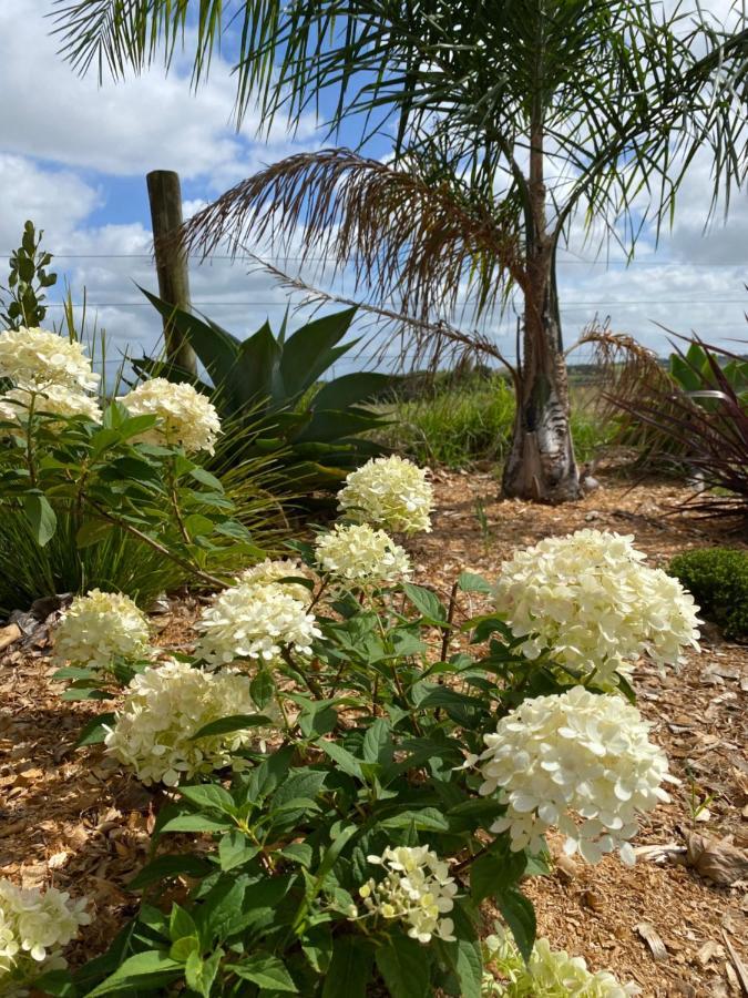 דרגאוויל Turiwiri Farmstay מראה חיצוני תמונה